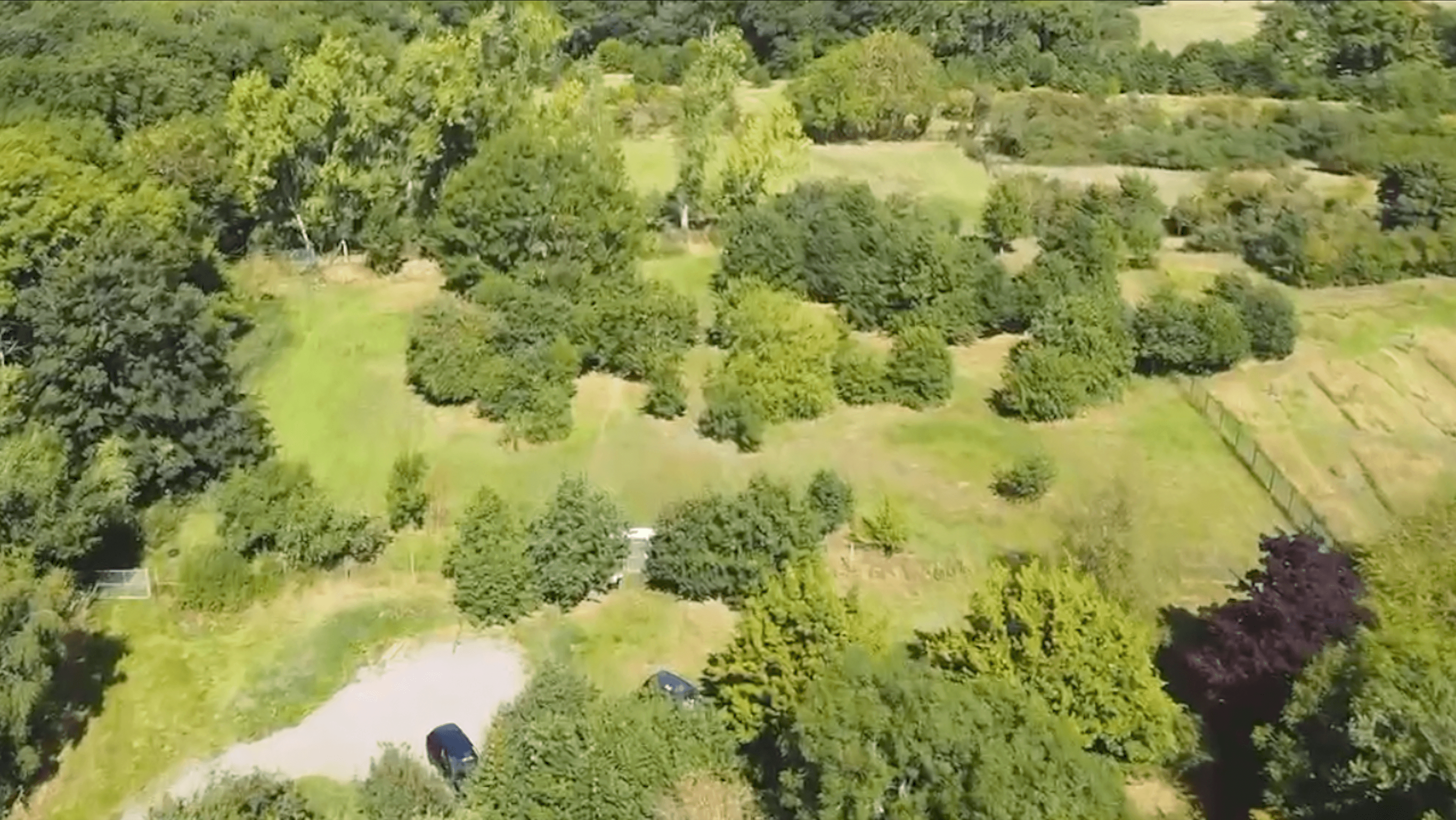 A still frame from a video of a dog field